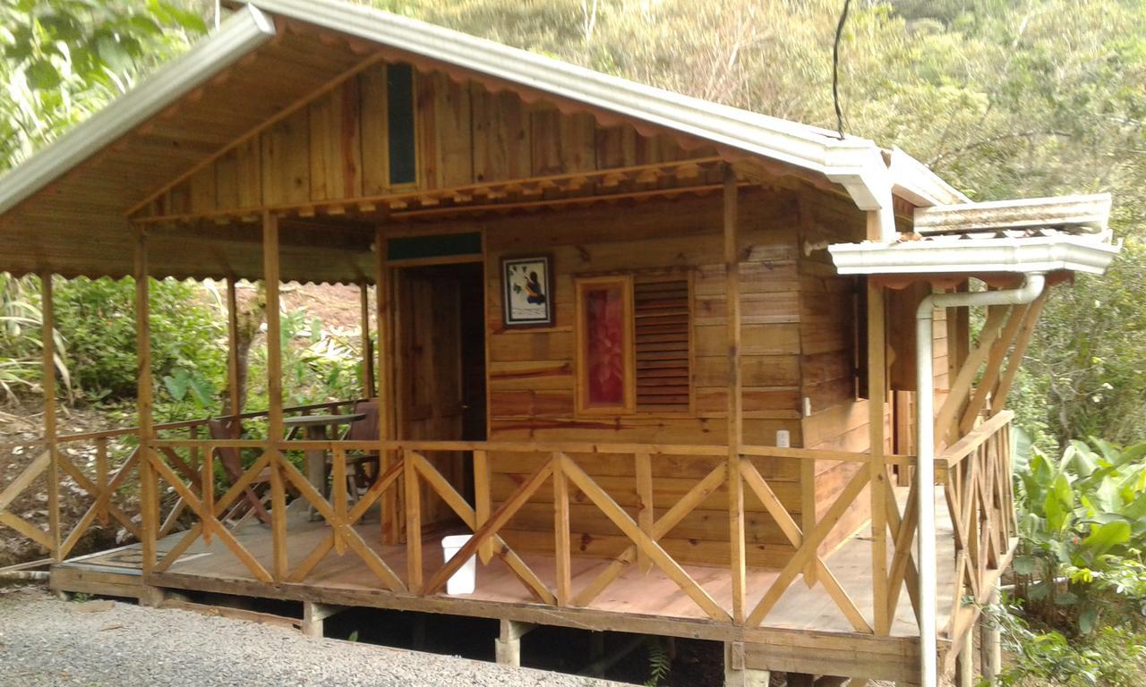Corredores Del Pacuare La Suiza المظهر الخارجي الصورة